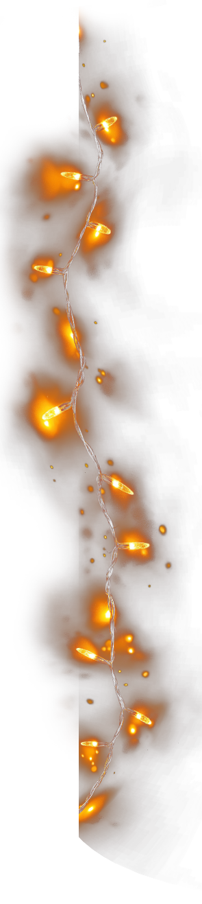 Lampki do formularza